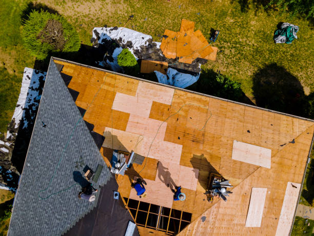 Trusted Wallis, TX Roofing Contractor Experts