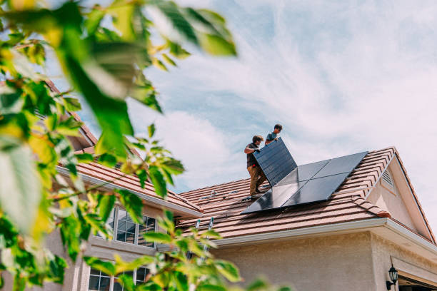 Best Roof Gutter Cleaning  in Wallis, TX