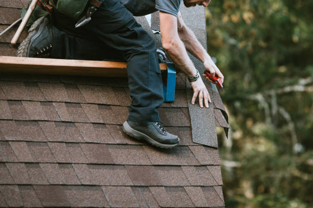 Best Metal Roofing Contractor  in Wallis, TX